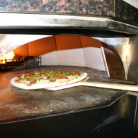 fdu madison pizza 4 website